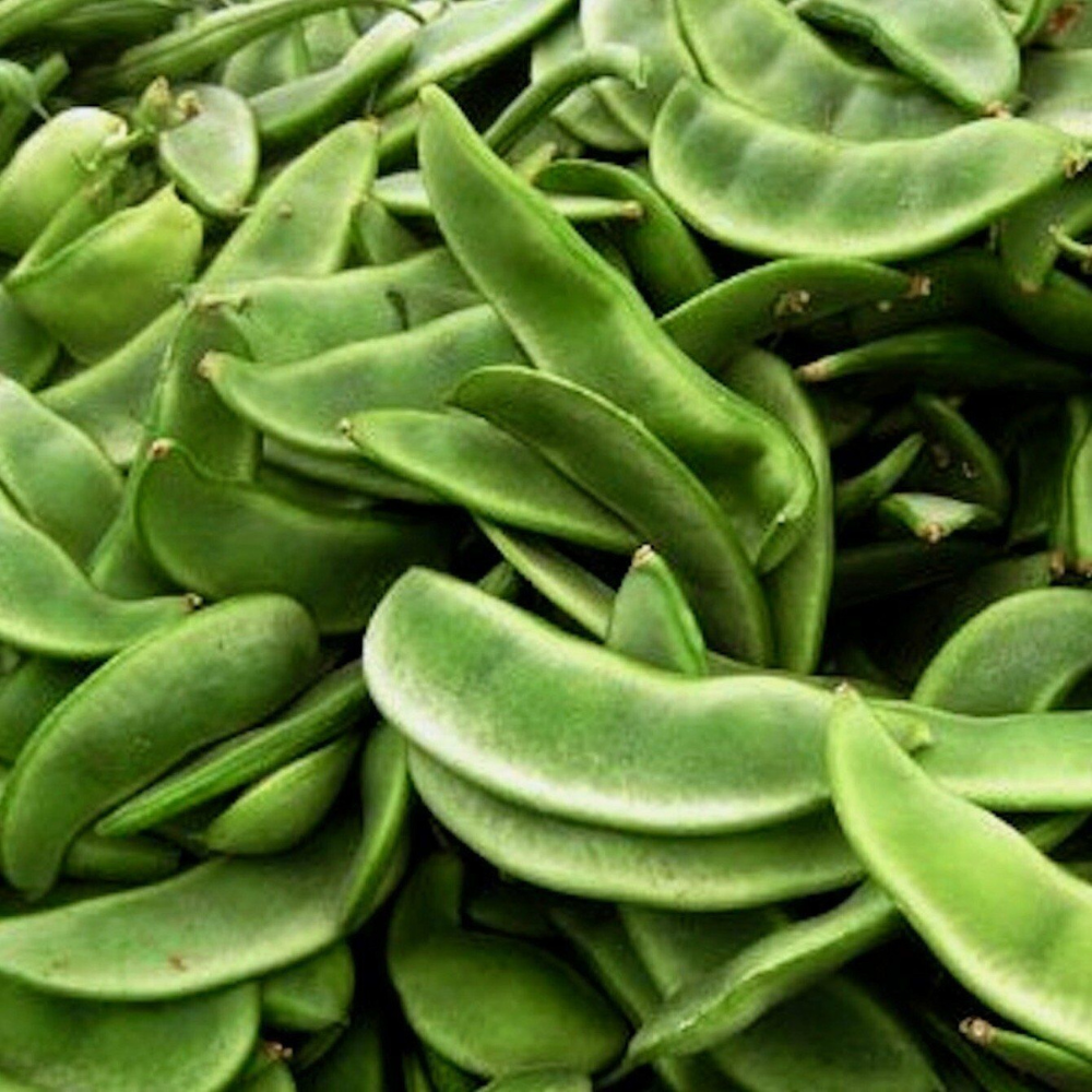 100 Burpee Improved Lima Bean Butter Beans NON-GMO Heirloom Vegetable Seeds | www.seedsplantworld.com