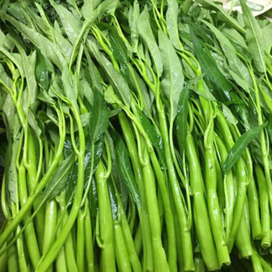 50 Thai Water Spinach Vegetable Seeds | www.seedsplantworld.com