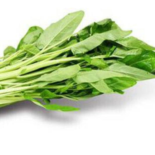 50 White Stem Water Spinach Vegetable Seeds | www.seedsplantworld.com