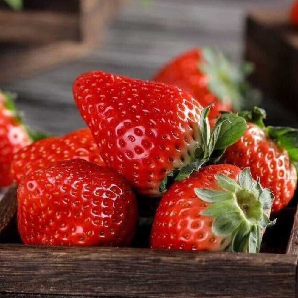 100 Red Strawberry Big Flesh Fruit Seeds | www.seedsplantworld.com