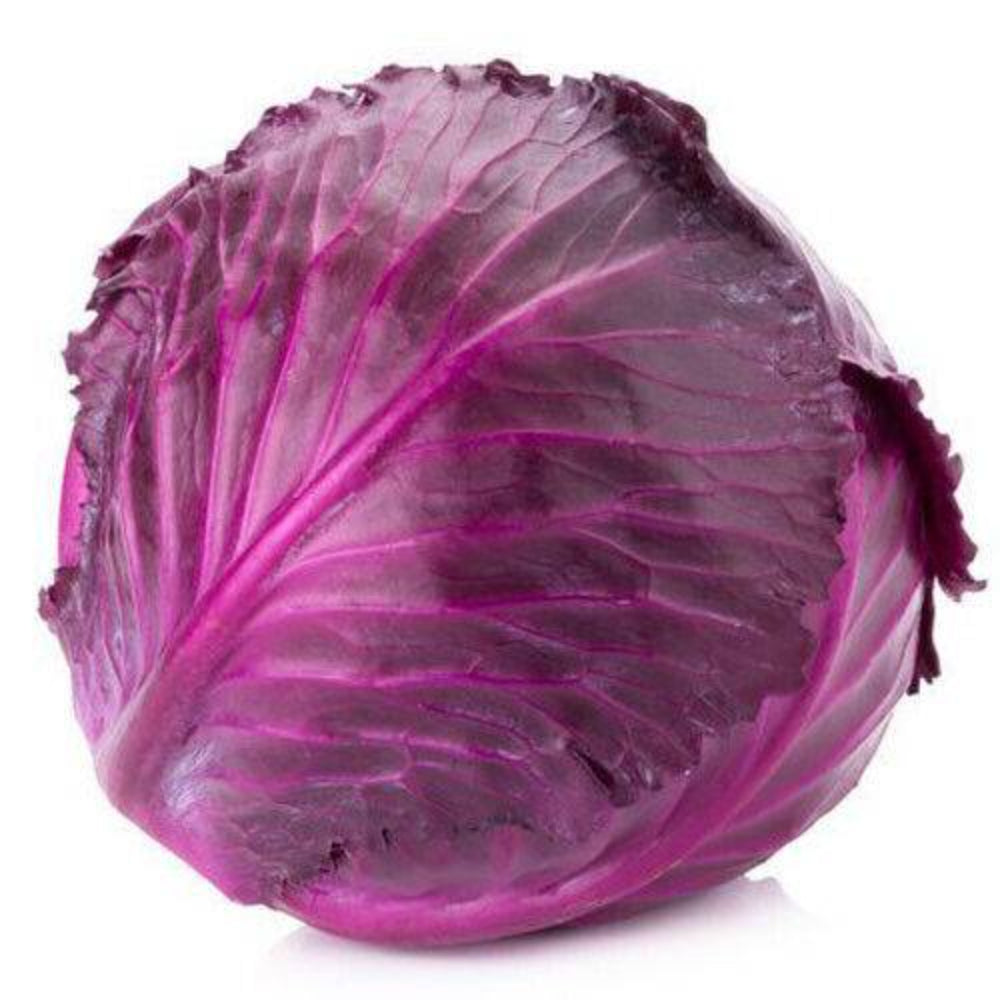 300 Red Acre Cabbage (Brassica Oleracea) Non-GMO Vegetable Seeds | www.seedsplantworld.com