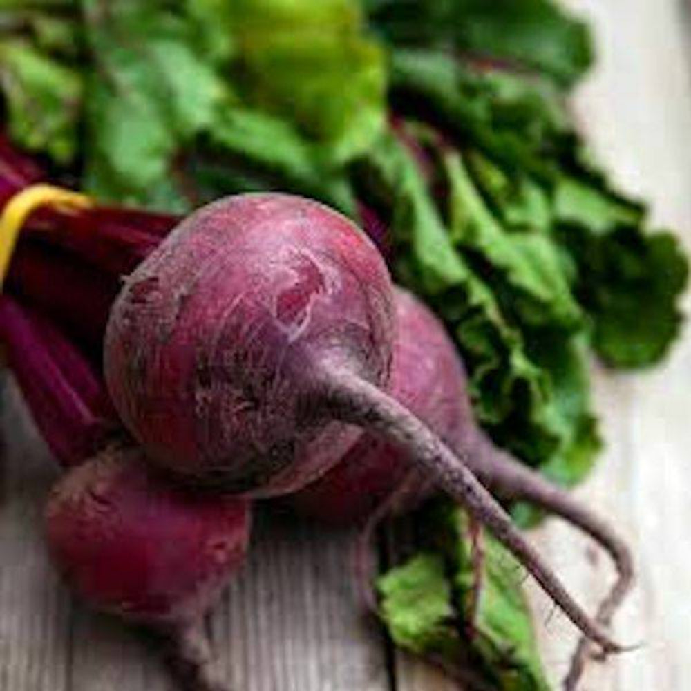 250 Detroit Dark Red Beet Non-GMO Vegetable Seeds | www.seedsplantworld.com