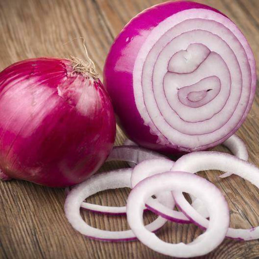 500 Red Creole Onion Non-GMO Heirloom Vegetable Seeds | www.seedsplantworld.com