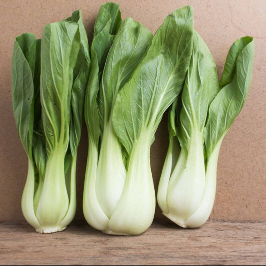 3000 Chinese White Stem Pak Choi Bok Choy Chinese Cabbage Non-GMO Vegetable Seeds | www.seedsplantworld.com