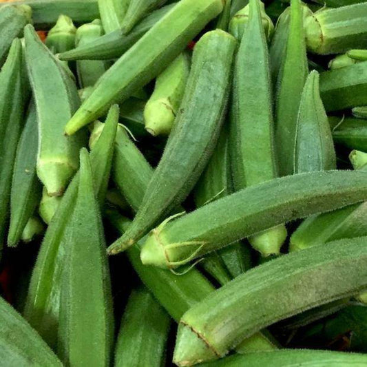 50 Ct Okra Clemson Spineless NON-GMO Vegetable Seeds | www.seedsplantworld.com