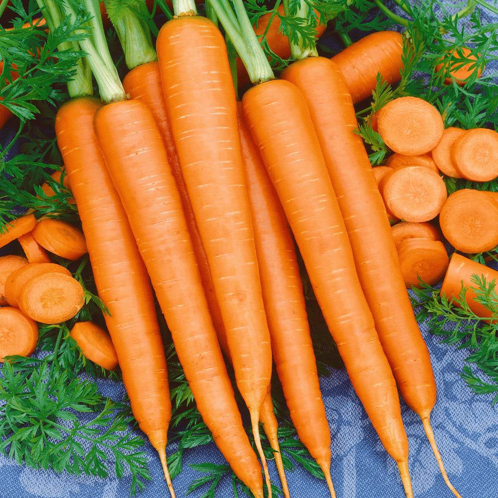 1000+ Tendersweet Carrot Garden NON-GMO Vegetable Seeds | www.seedsplantworld.com