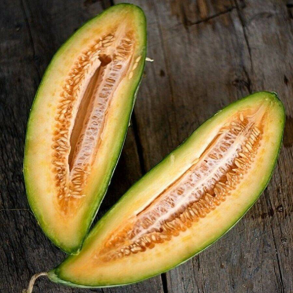 50+ Banana Melon Cantaloupe Muskmelon Heirloom Fruit Seeds | www.seedsplantworld.com