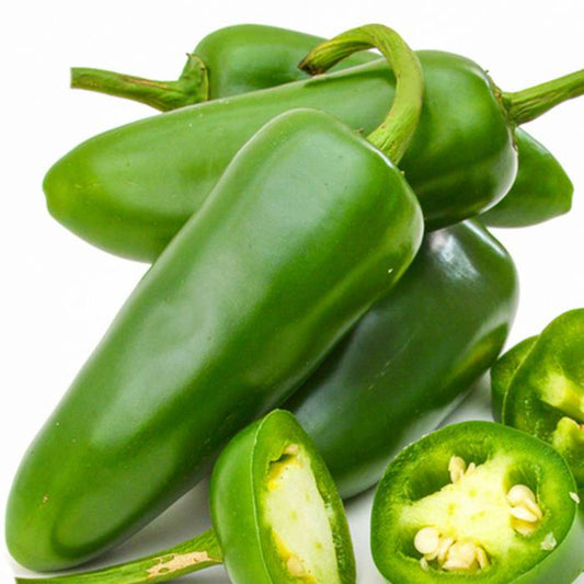 100 Jalapeno Pepper Non-GMO Vegetable Seeds | www.seedsplantworld.com