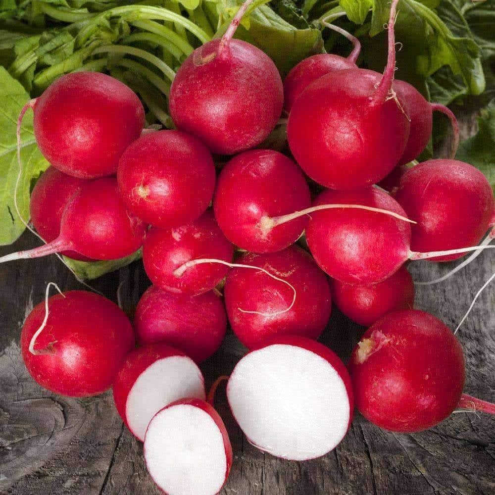 300 Radish NON-GMO Heirloom Vegetable Seeds | www.seedsplantworld.com