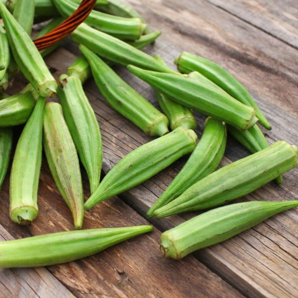 100 Emerald Okra Vegetable Seeds | www.seedsplantworld.com