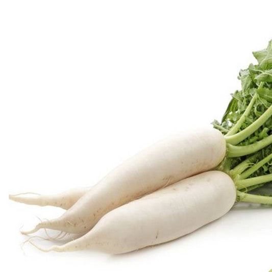 100 Daikon Radish Non-GMO Vegetable Seeds | www.seedsplantworld.com