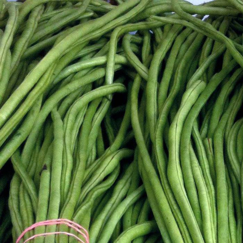 40 Yard Long Green Bean Non-GMO Vegetable Seeds | www.seedsplantworld.com