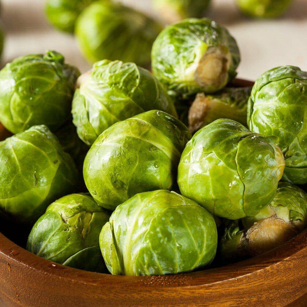 600 Brussel Sprouts Vegetable Seeds | www.seedsplantworld.com