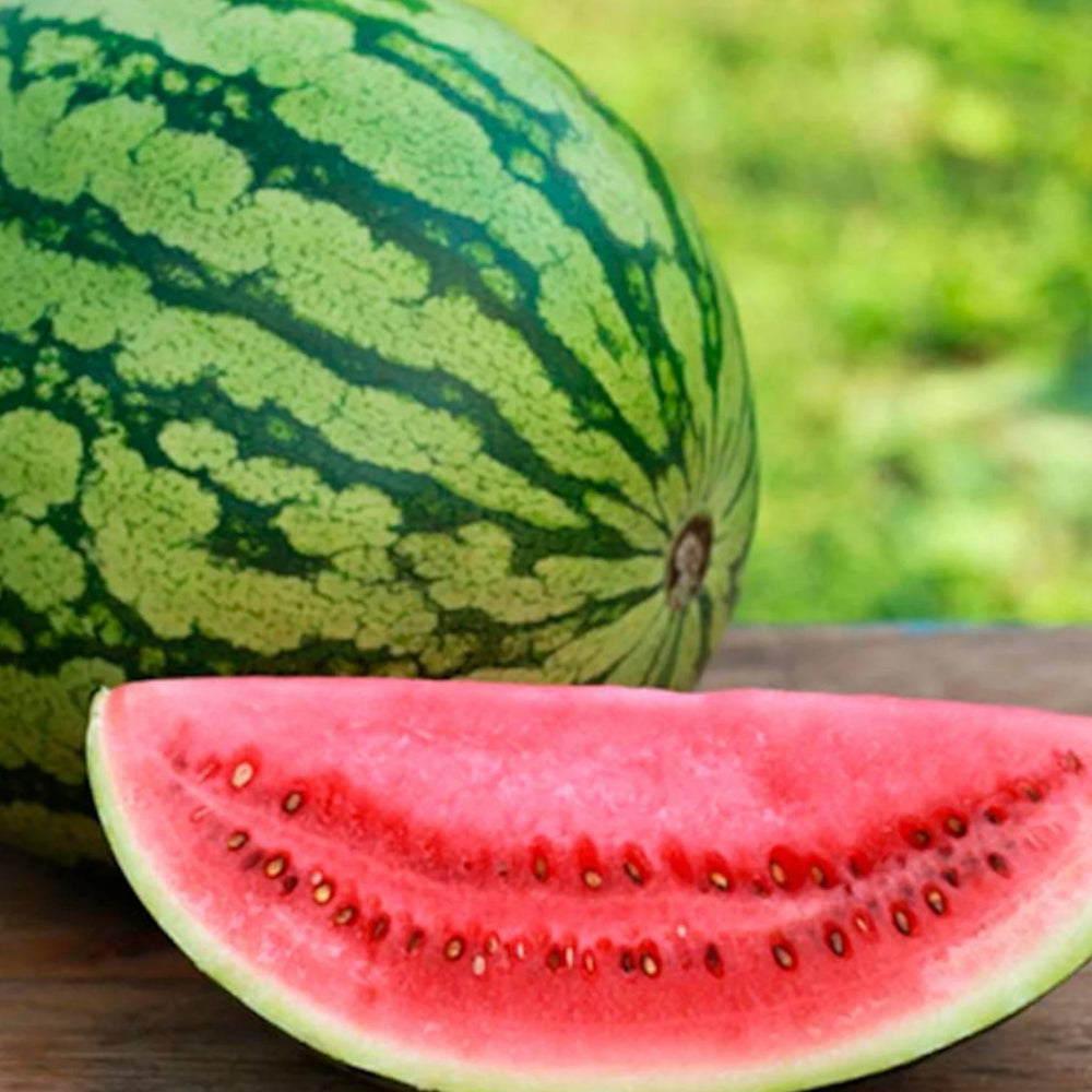 25 Crimson Sweet Watermelon Fruit Seeds | www.seedsplantworld.com