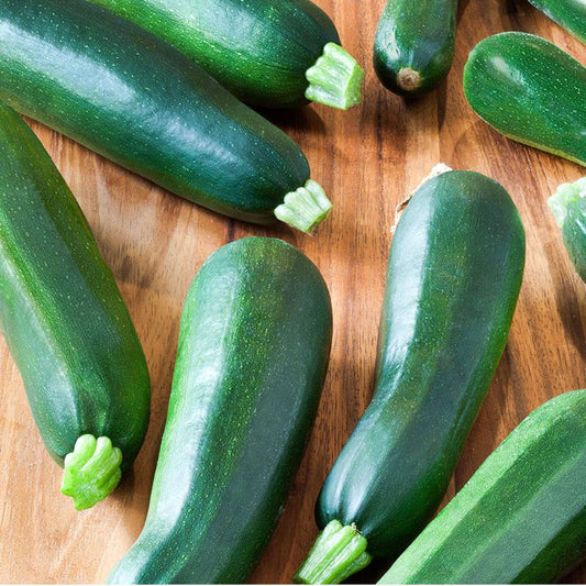 25 Zucchini Squash Non-GMO Heirloom Vegetable Seeds | www.seedsplantworld.com