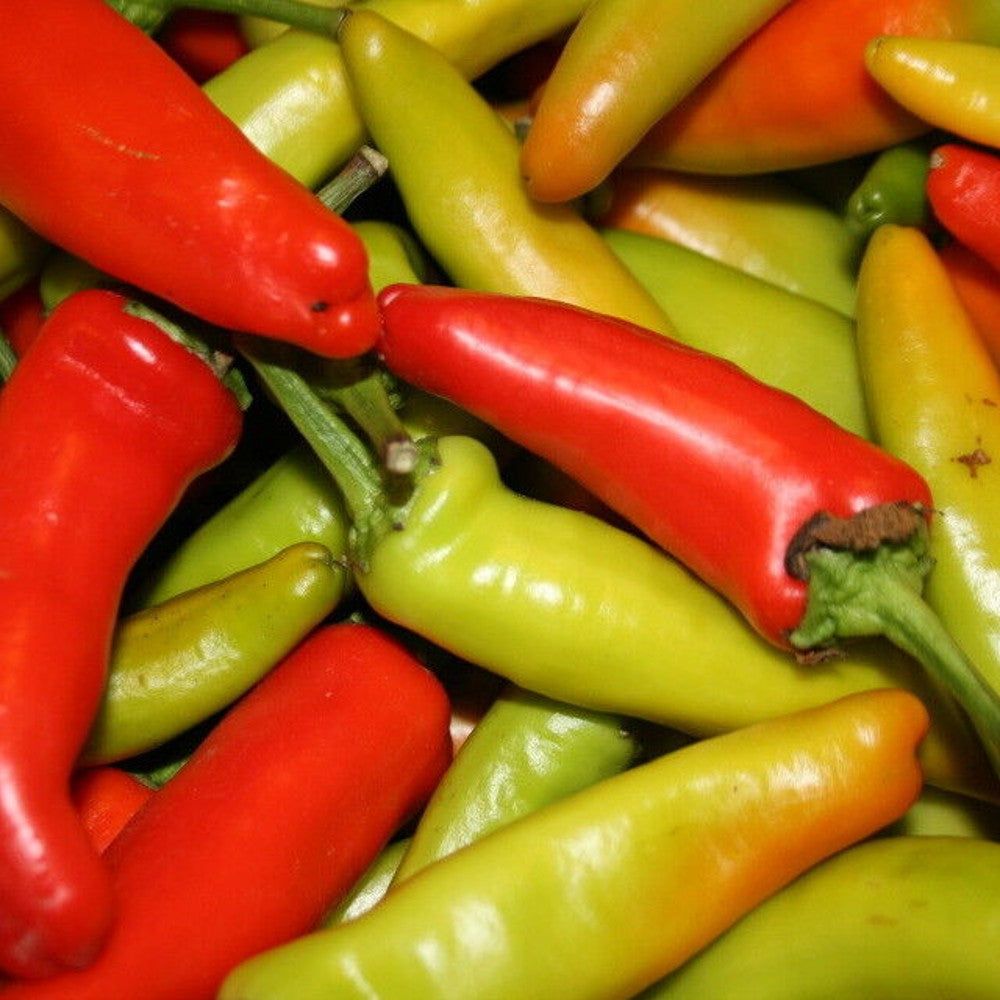 100 Cubanelle Sweet Pepper NON-GMO Vegetable Seeds | www.seedsplantworld.com