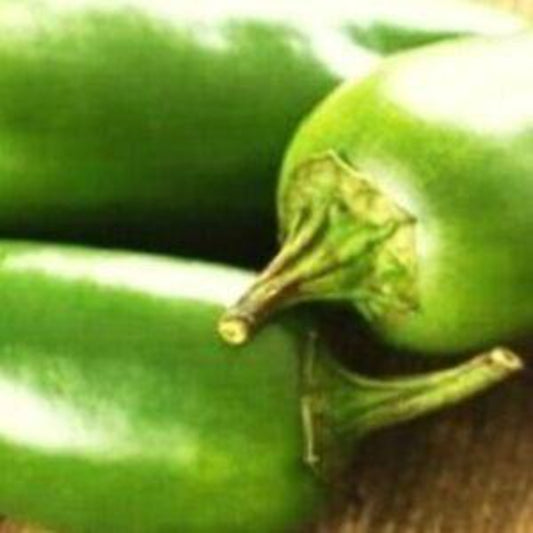 100 Jalapeno M Pepper NON-GMO Heirloom Fruit Seeds | www.seedsplantworld.com