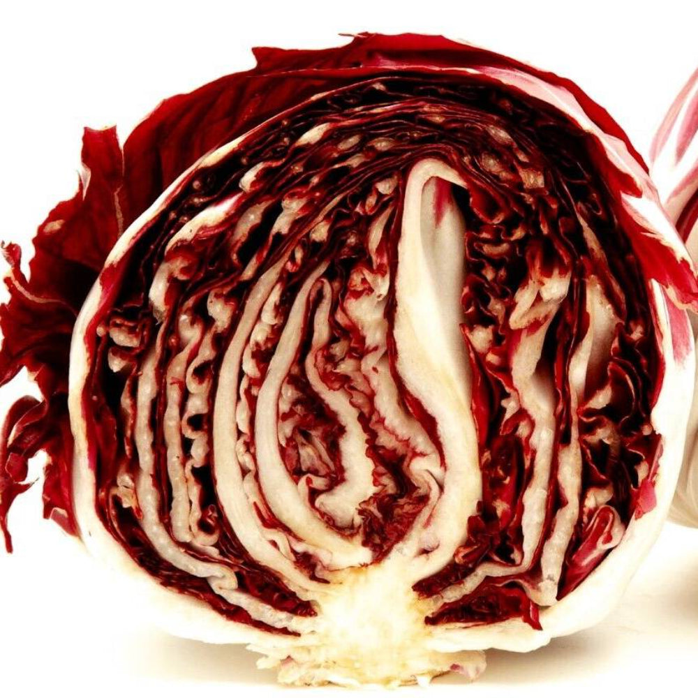 100 Radicchio Rouge de Verona Heirloom Vegetable Seeds | www.seedsplantworld.com