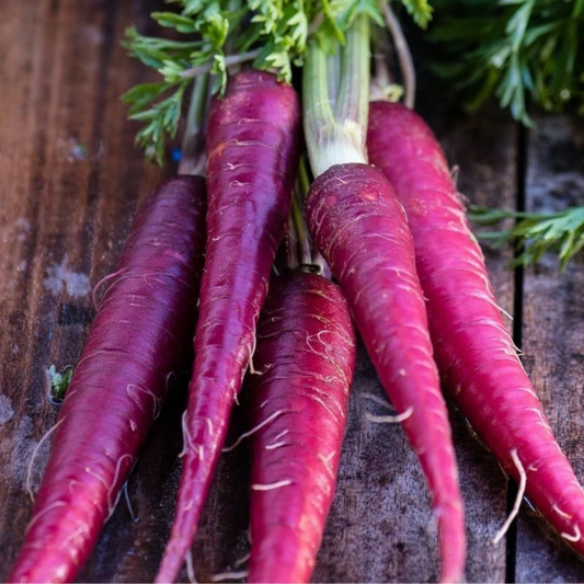 300 Cosmic Purple Carrot Lycopene NON-GMO Vegetable Seeds | www.seedsplantworld.com