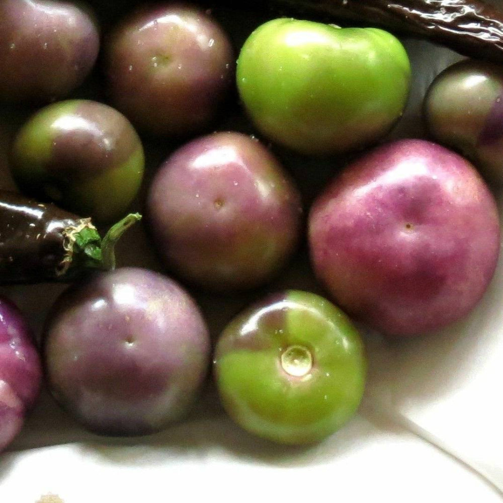 125 Purple Tomatillo Vegetable Seeds | www.seedsplantworld.com