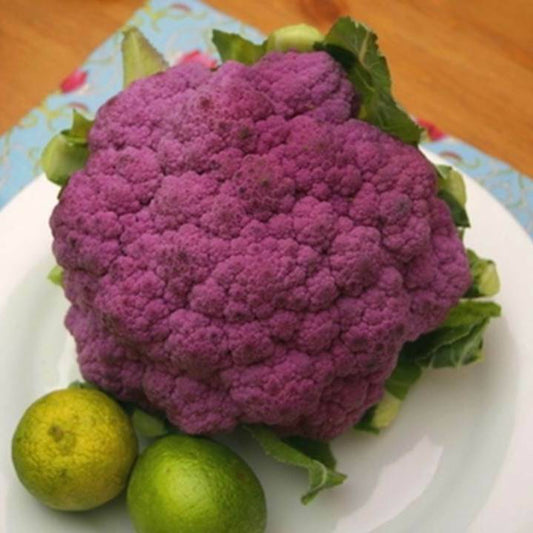 350 Broccoli Purple Sprouting Heirloom Vegetable Seeds | www.seedsplantworld.com