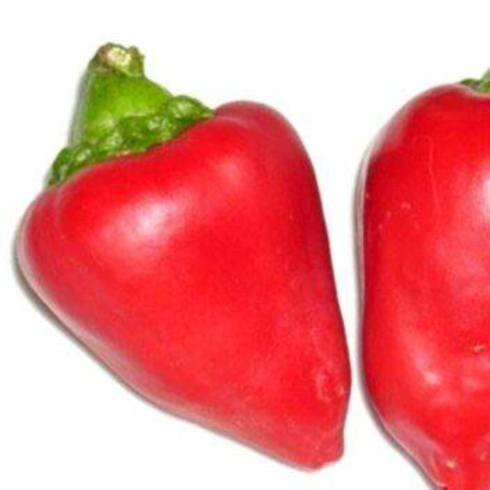 120 Sweet Pimento Pepper Vegetable Seeds | www.seedsplantworld.com