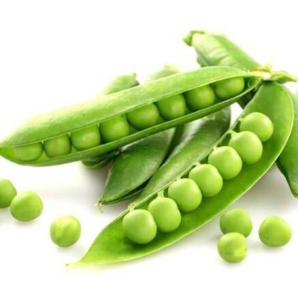 40 Lincoln Shell Pea Vegetable Seeds | www.seedsplantworld.com