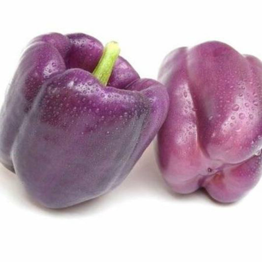 140 Purple Beauty Bell Pepper Heirloom Vegetable Seeds | www.seedsplantworld.com