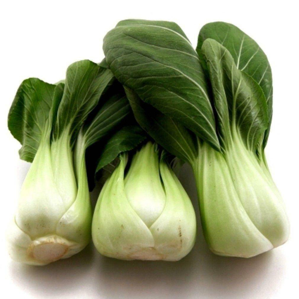 440 Pak Choy Canton Chinese Cabbage Heirloom Herb Seeds | www.seedsplantworld.com