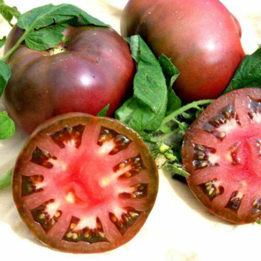 80 Cherokee Purple Tomato Vegetable Seeds | www.seedsplantworld.com