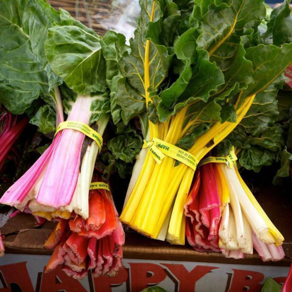 50 Chard Swiss Rainbow Heirloom Garden Vegetable Seeds | www.seedsplantworld.com