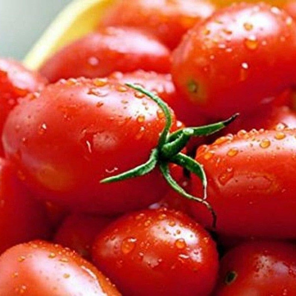 30 Crovarese Italian Grape Tomato NON-GMO Vegetable Seeds | www.seedsplantworld.com