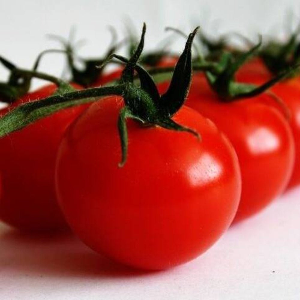 15 Dwarf Cherry Tomato Vegetable Seeds | www.seedsplantworld.com