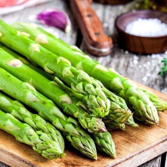 100 Mary Washington Asparagus NON-GMO Healthy Vegetable Vegetable Seeds | www.seedsplantworld.com