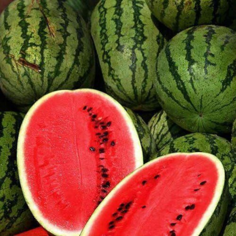 100 Watermelon Citrullus Lanatus All Sweet NON-GMO Heirloom Fruit Seeds | www.seedsplantworld.com