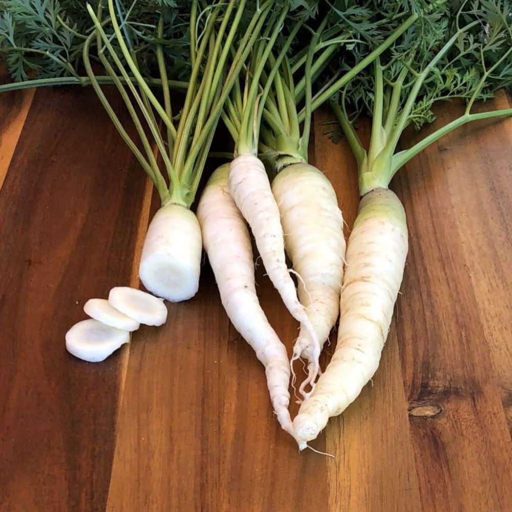 300 Snow White Carrot Beta-Carotene Colorful NON-GMO Vegetable Seeds | www.seedsplantworld.com