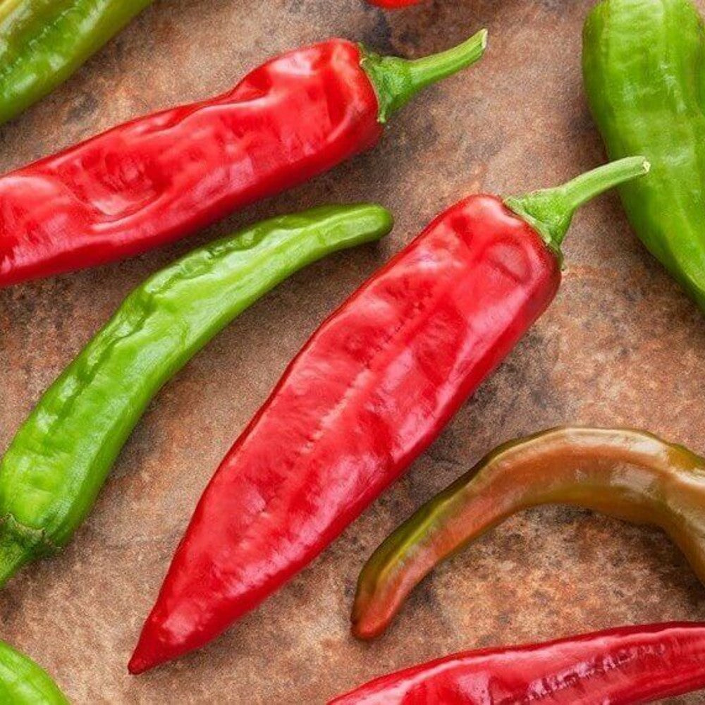 100 Hatch Sandia Chili Pepper NuMex Hot Green Chile Ristra Vegetable Seeds | www.seedsplantworld.com