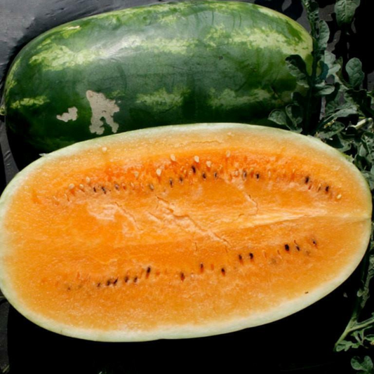 140 Tendersweet Orange Watermelon Very Sweet NON-GMO Heirloom Fruit Seeds | www.seedsplantworld.com