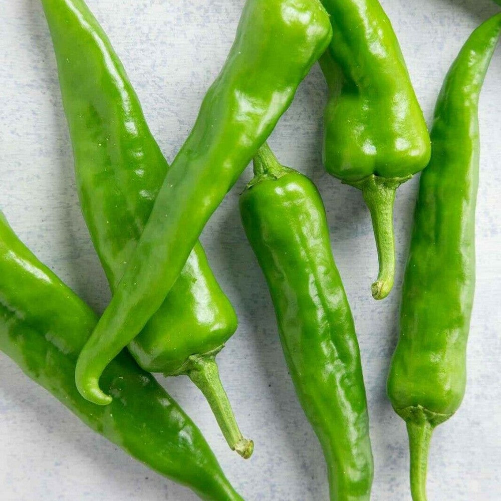 100 Guizeppi Chili Pepper NuMex Mild Hatch Green Chile Vegetable Seeds | www.seedsplantworld.com