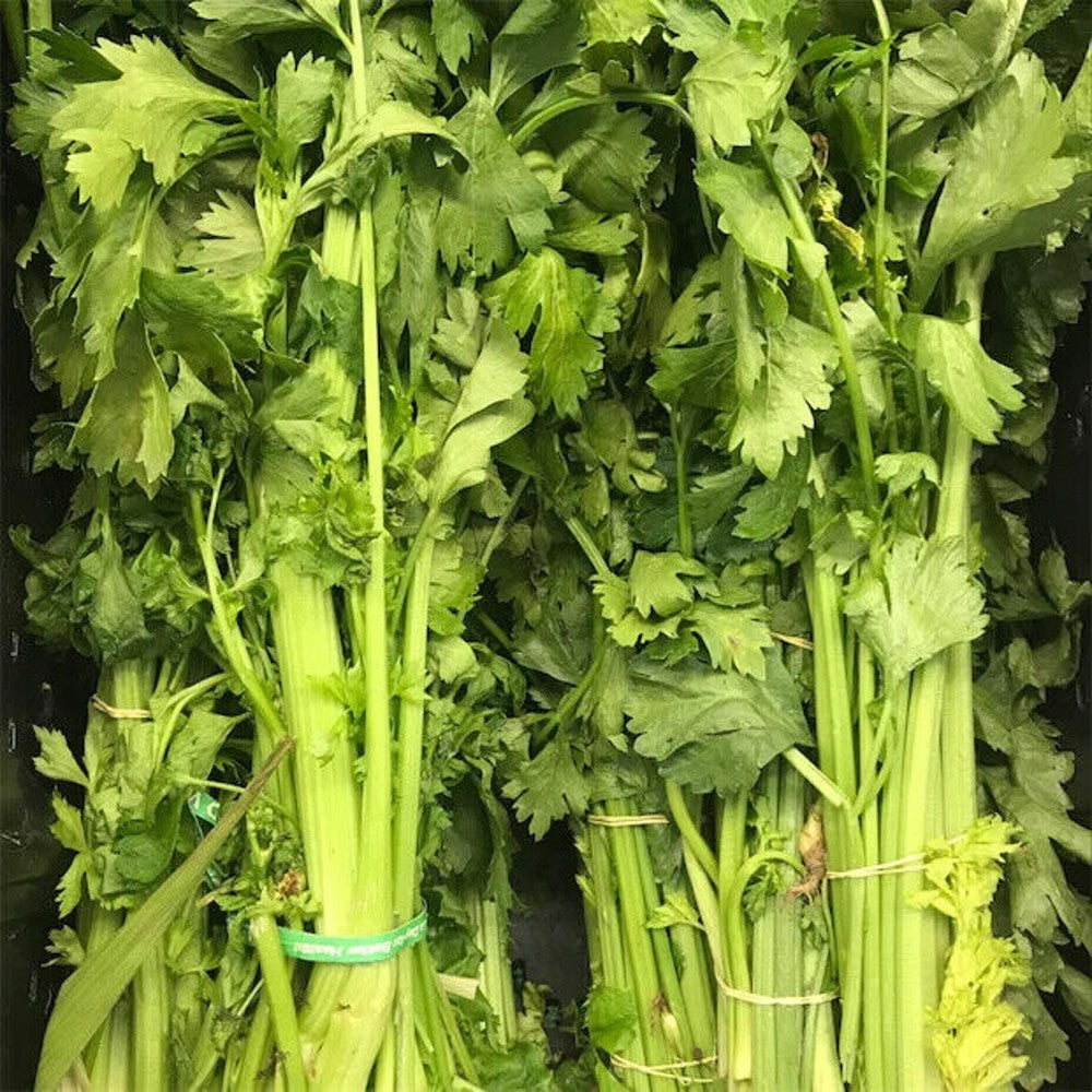 1000 Chinese Celery Yellow Stem NON-GMO Heirloom Vegetable Seeds | www.seedsplantworld.com