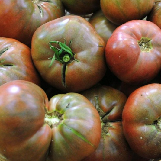 30 Cherokee Purple Tomato Heirloom NON-GMO Vegetable Seeds | www.seedsplantworld.com