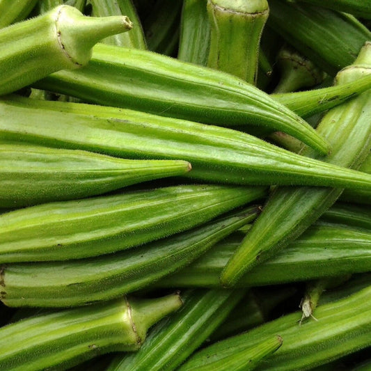 125 Clemson Spineless Okra NON-GMO Gumbo Lady's Fingers Gombo Bendi Vegetable Seeds | www.seedsplantworld.com