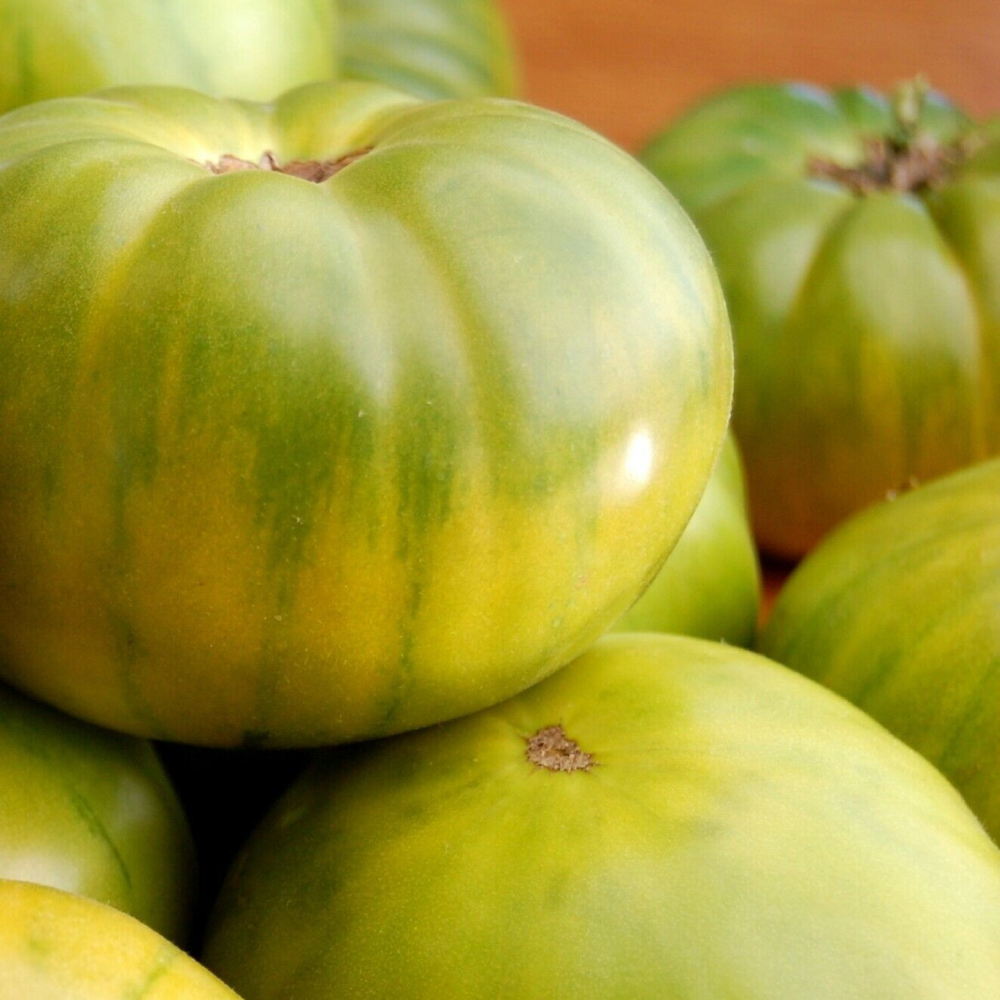 30 Aunt Ruby's German Green Tomato NON-GMO Vegetable Seeds | www.seedsplantworld.com