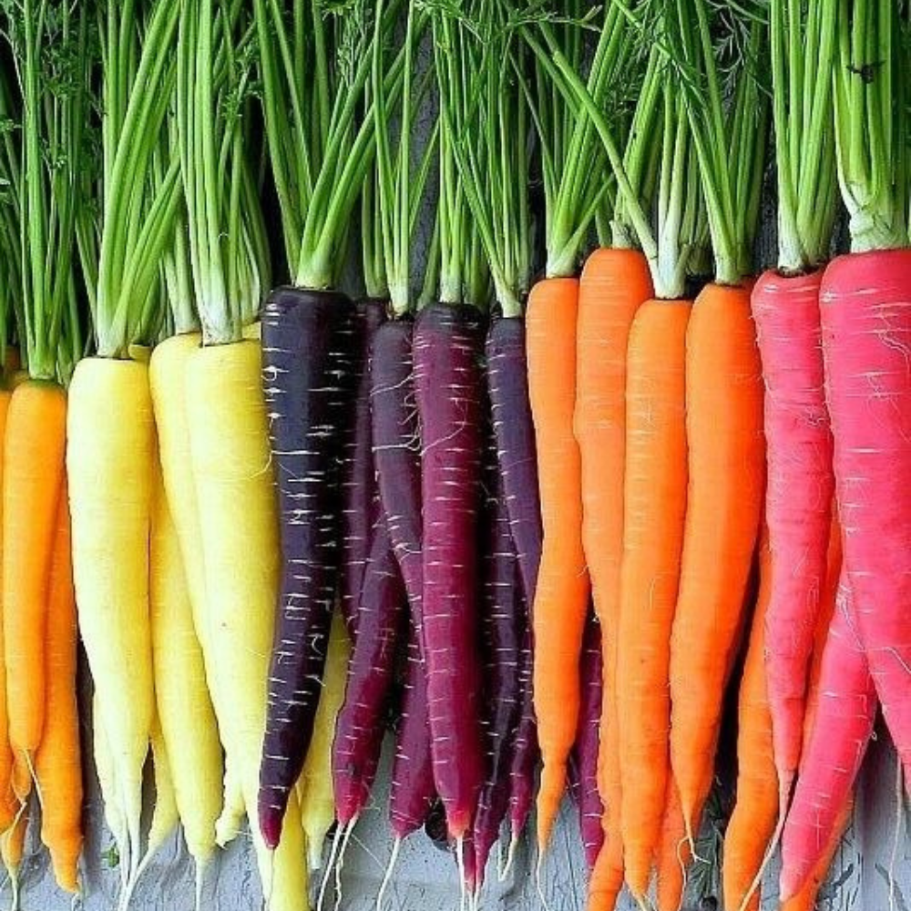 300 Atomic Red Carrot NON-GMO Vegetable Seeds | www.seedsplantworld.com