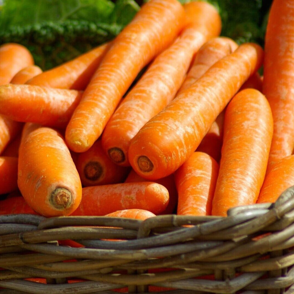 300 Brilliance Carrot Beta Carotene Vitamin A NON-GMO Vegetable Seeds | www.seedsplantworld.com