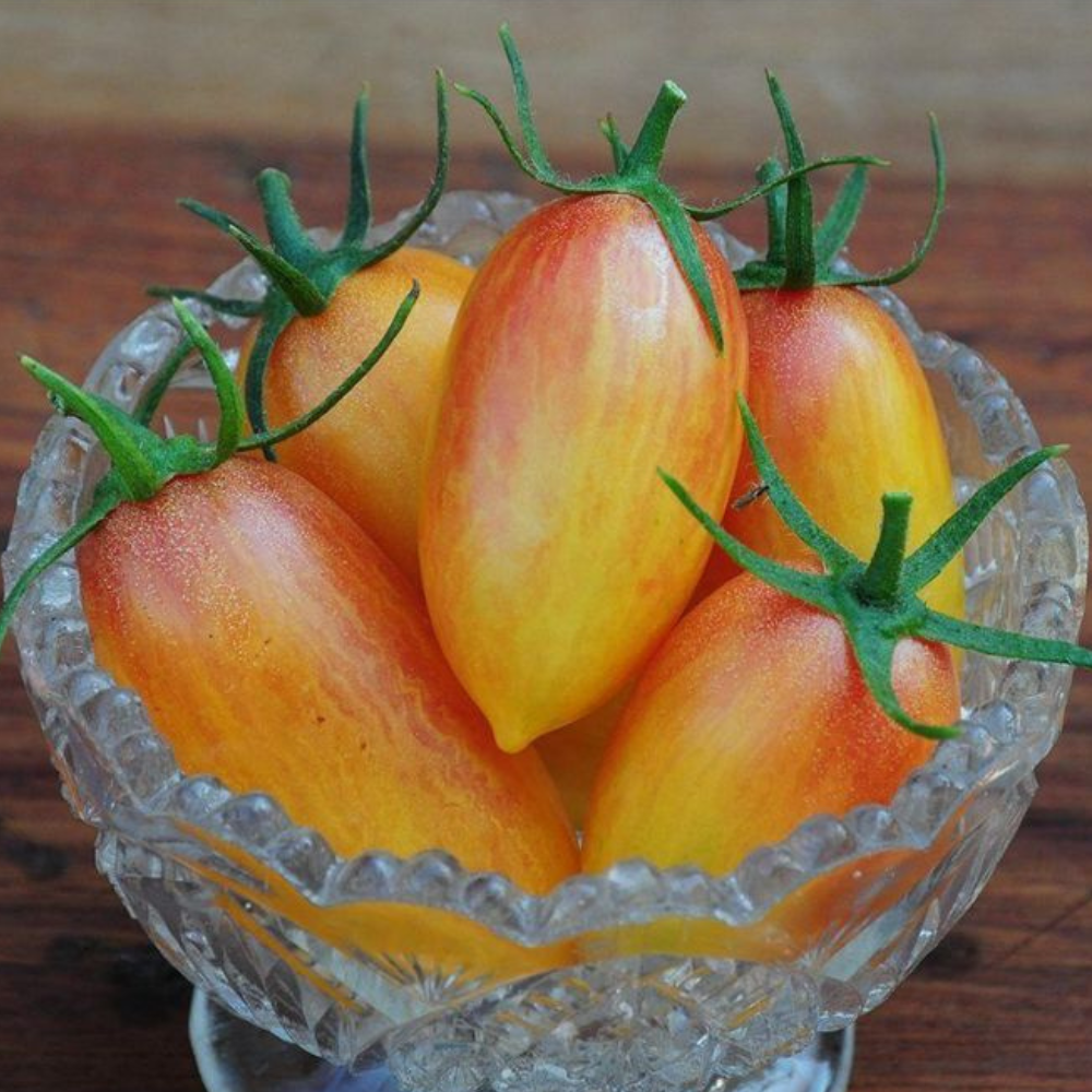 30 Artisan Blush Tomato Julienne Cherry Long Yellow NON-GMO Vegetable Seeds | www.seedsplantworld.com