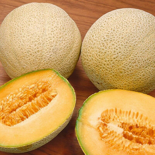 125 Honey Rock Melon Cantaloupe Sugar Rock NON-GMO Fruit Seeds | www.seedsplantworld.com