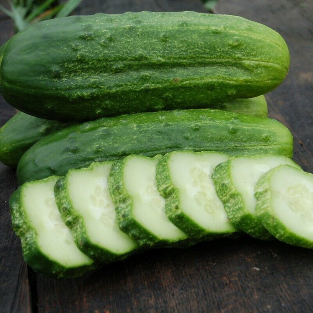 30 National Pickling Cucumber Pickles Gherkins NPPA NON-GMO Fruit Seeds | www.seedsplantworld.com