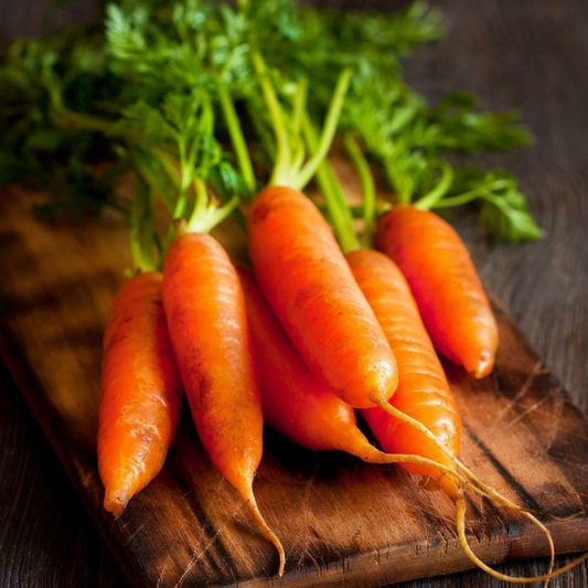 600 Little Fingers Carrot Baby Carrot Nantes Type NON-GMO Vegetable Seeds | www.seedsplantworld.com